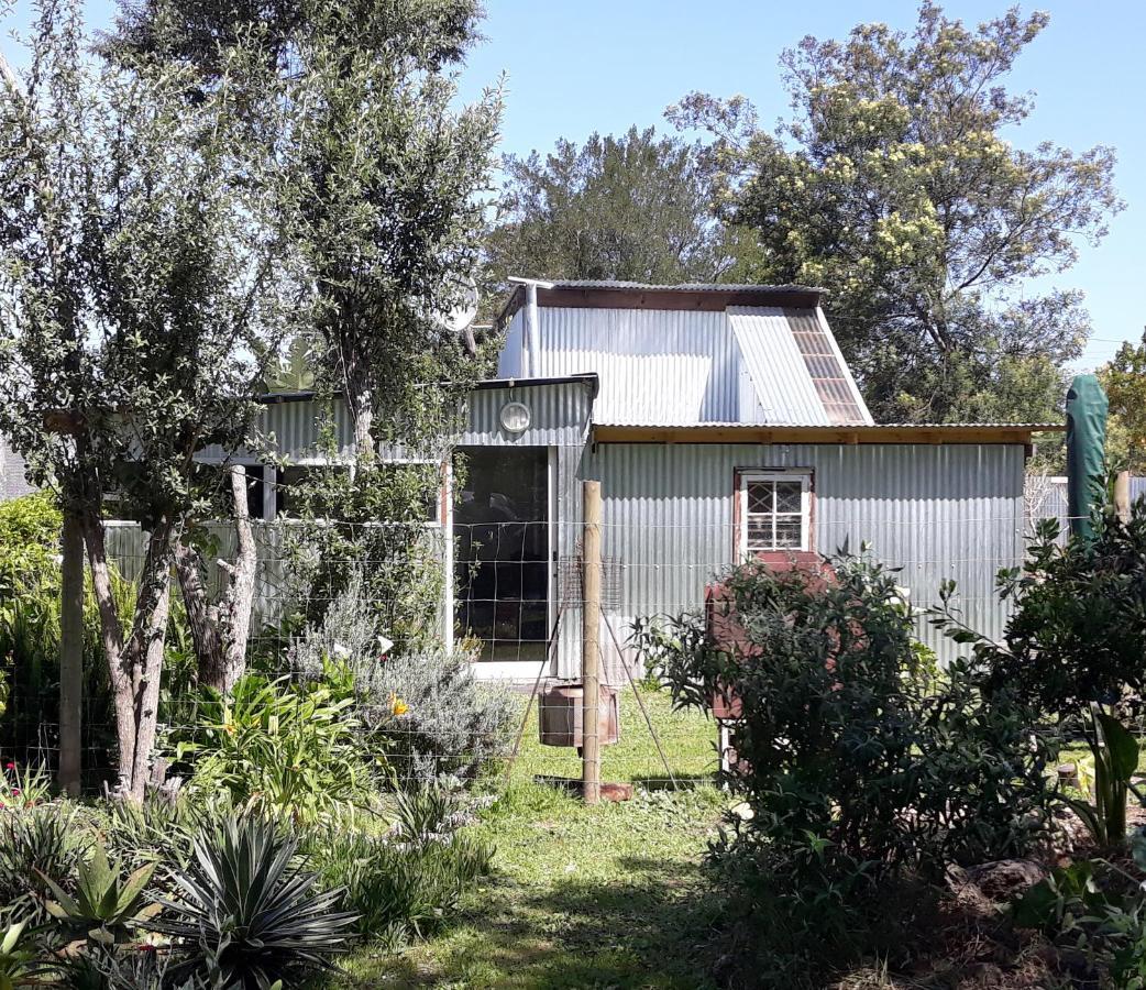 Storms River Tin House Stormsrivier Extérieur photo